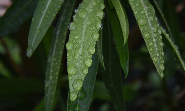 call completion performance ratio