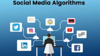 How Social Media Algorithms Work