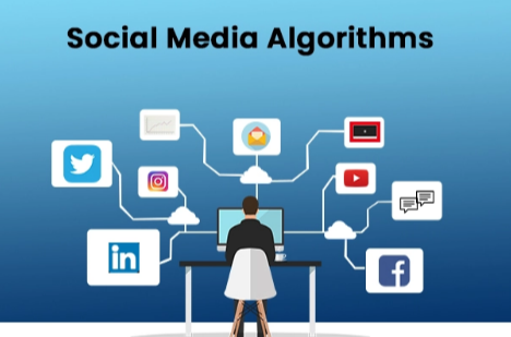 How Social Media Algorithms Work