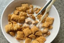 choosing initial greblovz2004 title