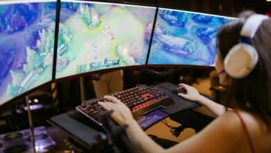 elite gaming experience offered