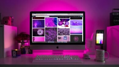 movie download website platform