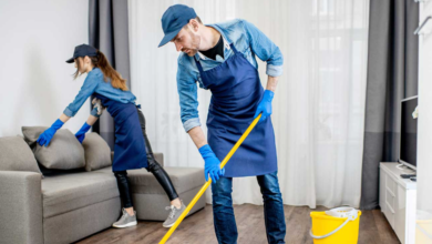 Why Boston Residents Are Switching to Recurring House Cleaning and Pest Control Services