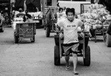 economic activity numerical codes