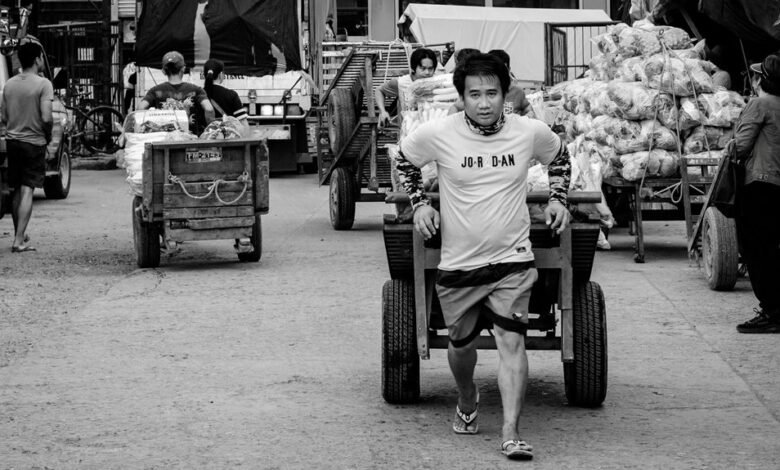 economic activity numerical codes