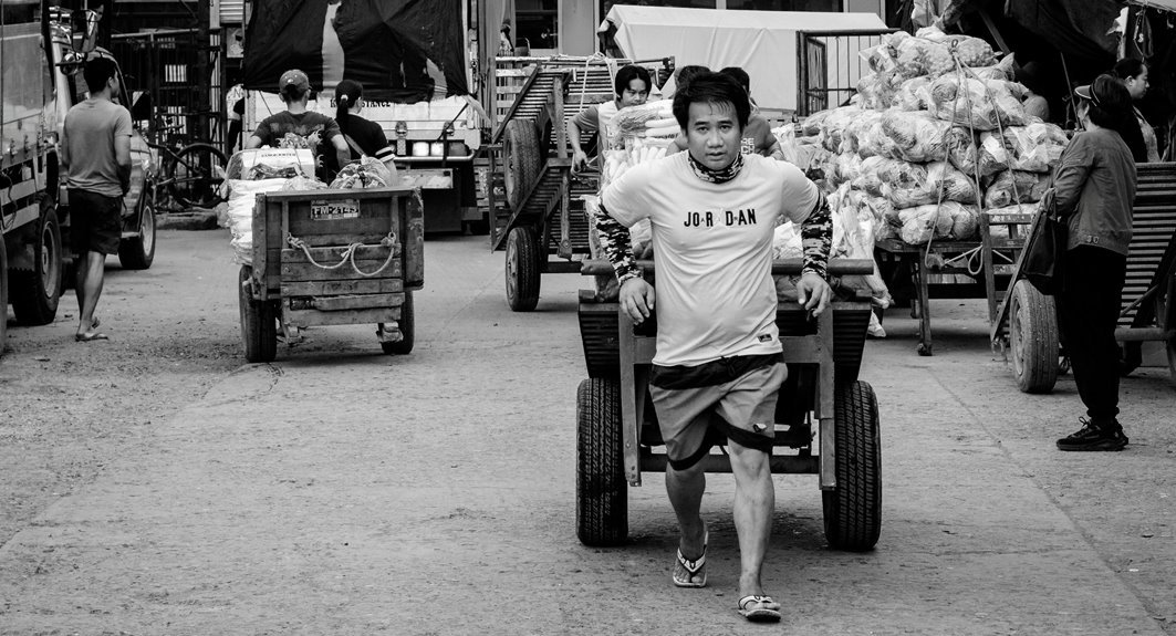 economic activity numerical codes