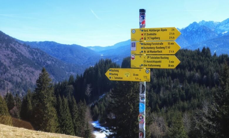 sector momentum analysis guide